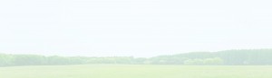 bg_img003